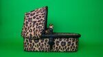 КОЛЯСКА COSATTO GIGGLE 3 HEAR US ROAR 2 В 1 SPECIAL EDITION